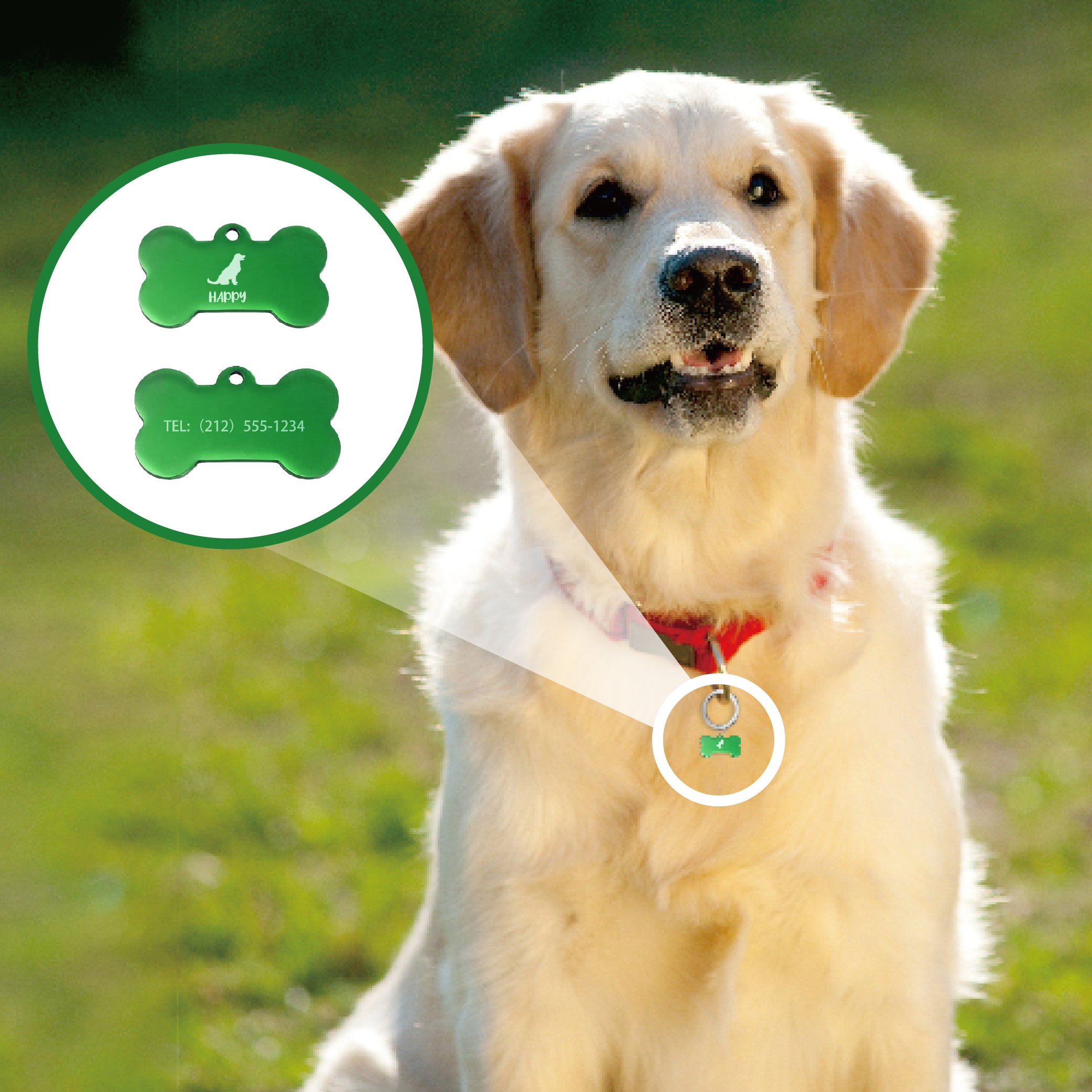 Stainless steel Dog Tags green L-large(20 pieces)