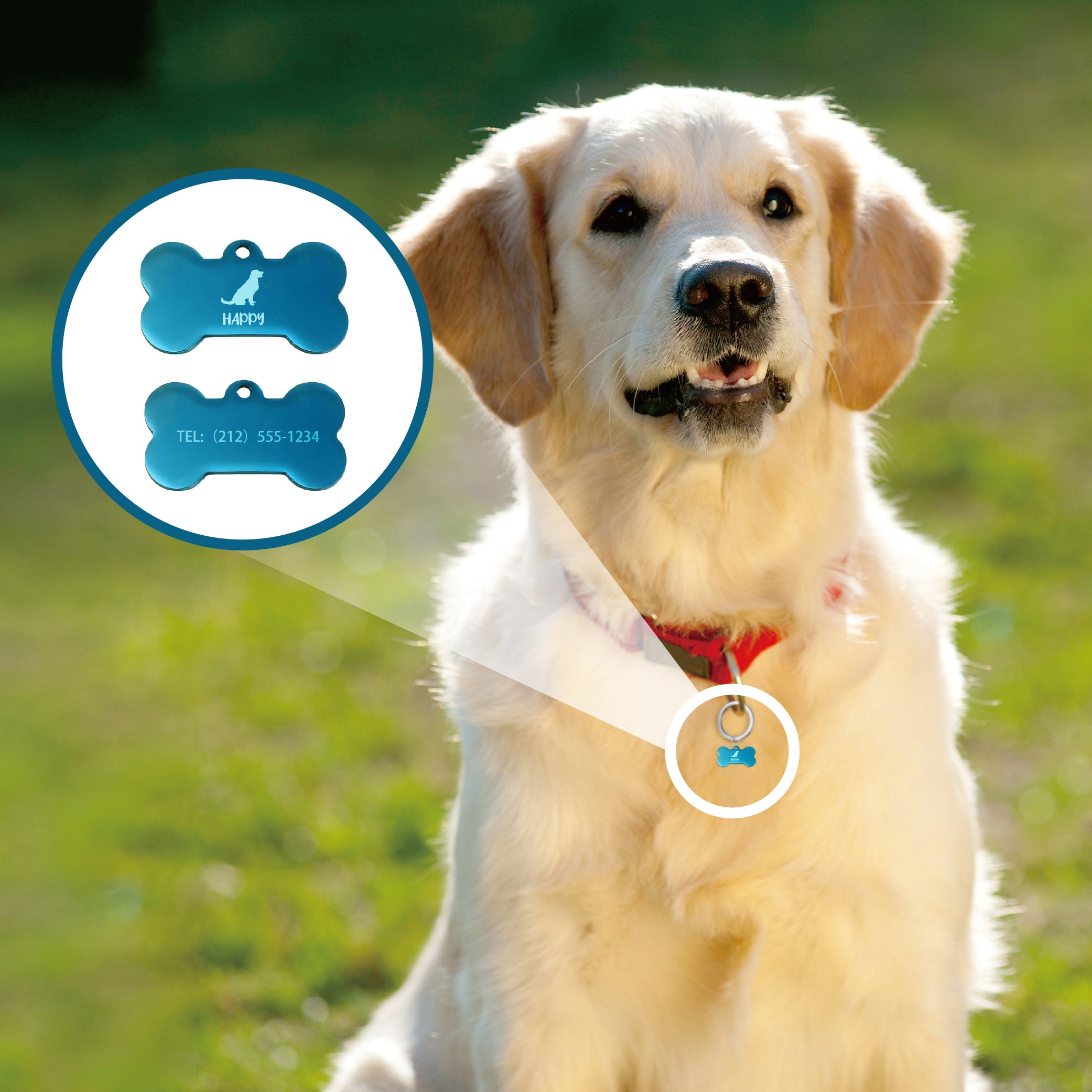 Stainless steel Dog Tags sky-blue L-large(20 pieces)