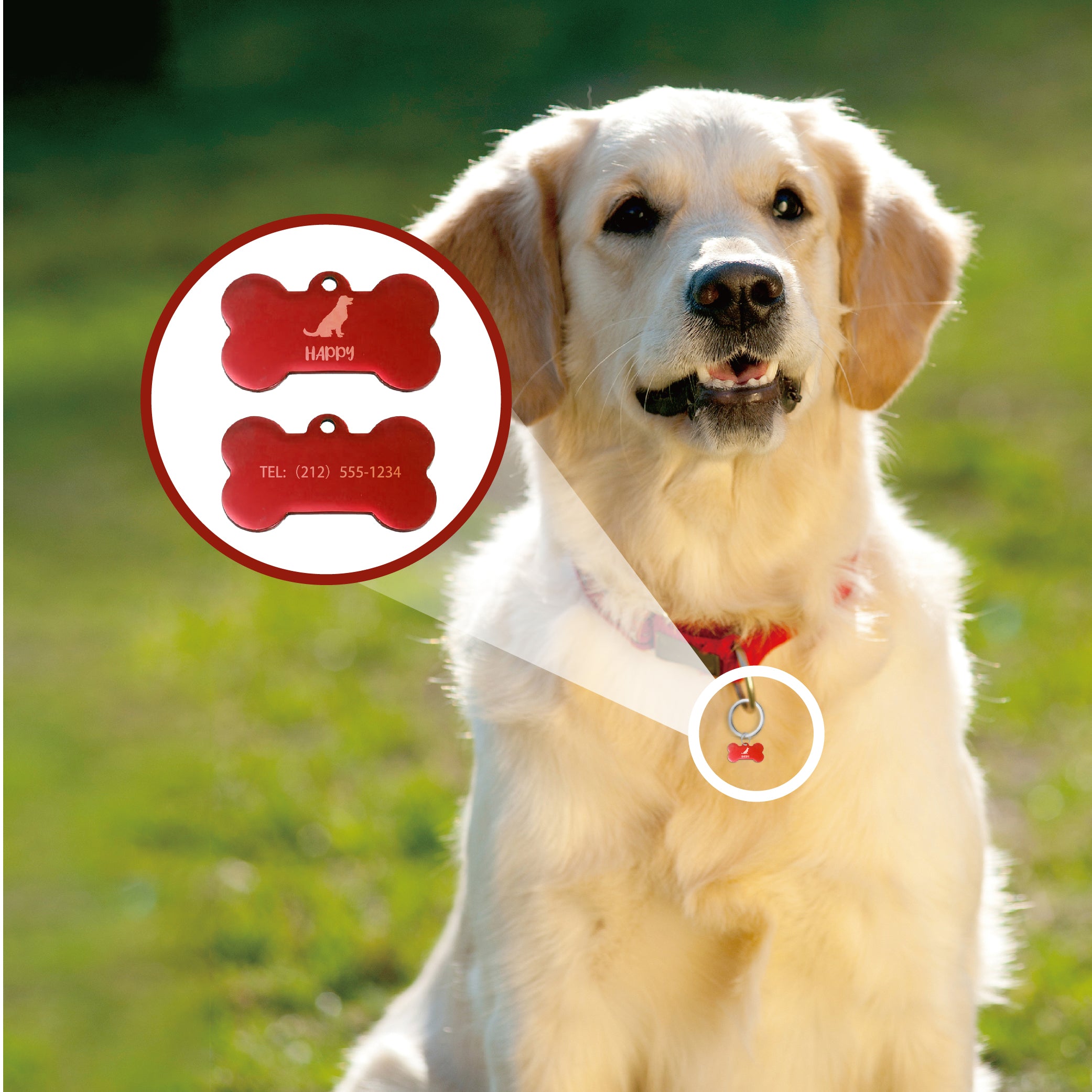 Stainless steel Dog Tags ruby-red L-large(20 pieces)